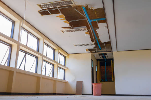  Mitchellville, MD Water damage restoration Pros