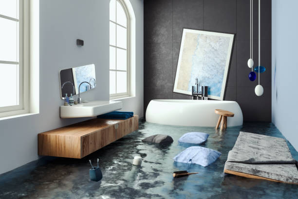 Best 24-hour water damage restoration  in Mitchellville, MD