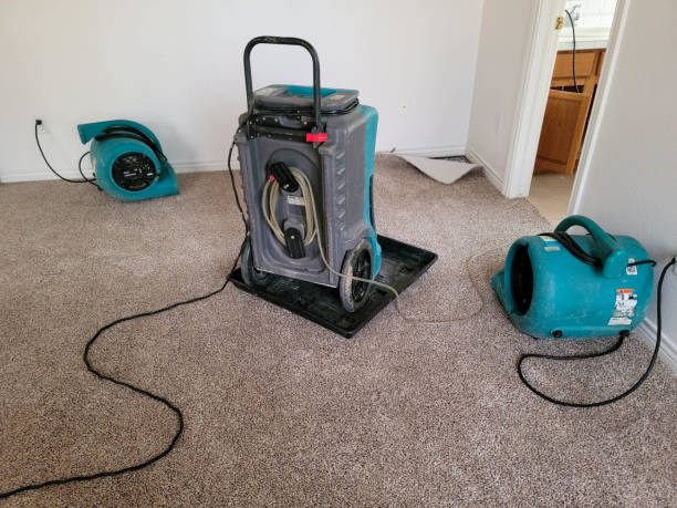Best Mold removal after water damage  in Mitchellville, MD