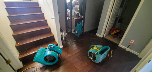 Best Water damage restoration specialists  in Mitchellville, MD