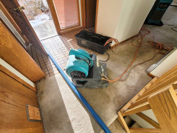 Best Ceiling water damage repair  in Mitchellville, MD