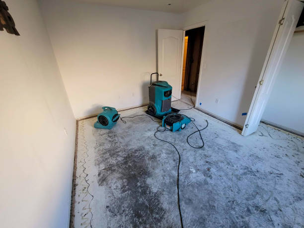 Best Flooded house restoration  in Mitchellville, MD