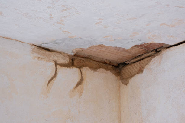 Best Commercial water damage restoration  in Mitchellville, MD