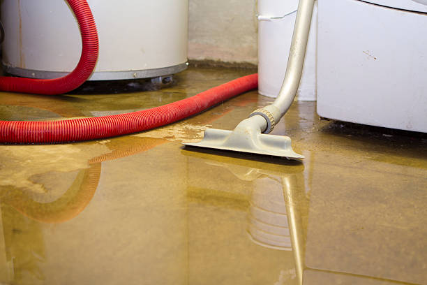 Best Water damage restoration process  in Mitchellville, MD