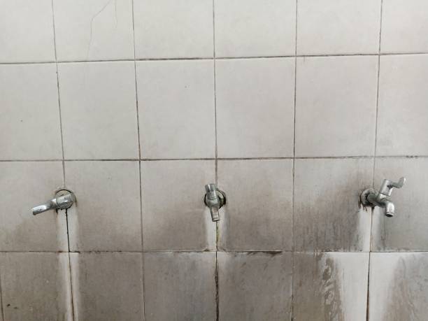 Best Fire Damage Restoration  in Mitchellville, MD