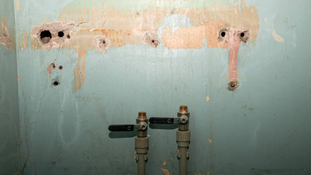 Best 24/7 water damage repair  in Mitchellville, MD