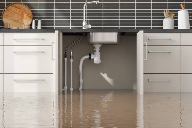 Best Flood damage cleanup  in Mitchellville, MD
